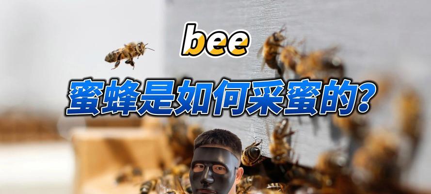 蜜蜂采蜜和酿蜜的过程是怎样的？过程中有哪些常见问题？  第1张