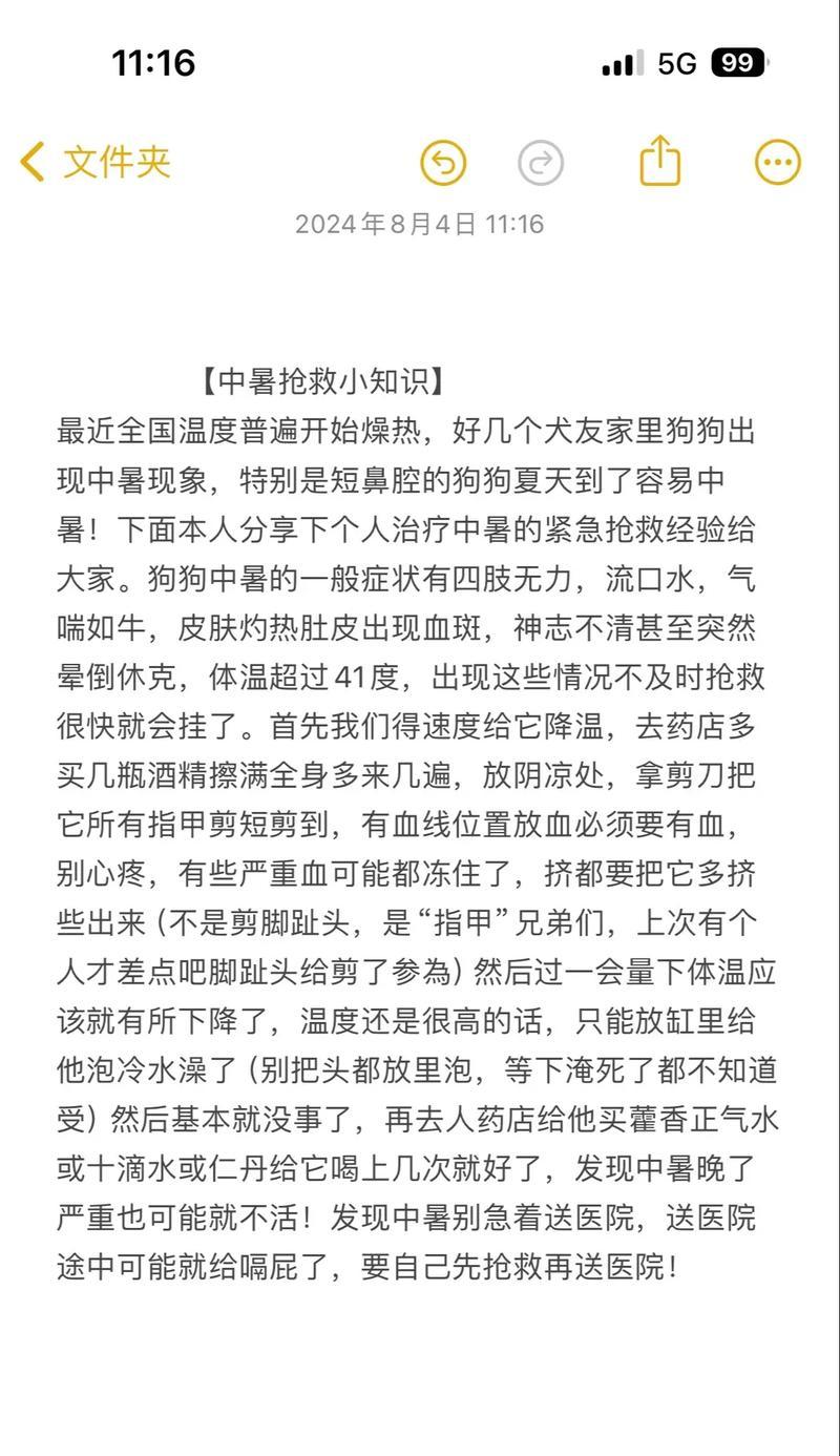 狗狗中暑了怎么办？正确处理方法有哪些？  第2张