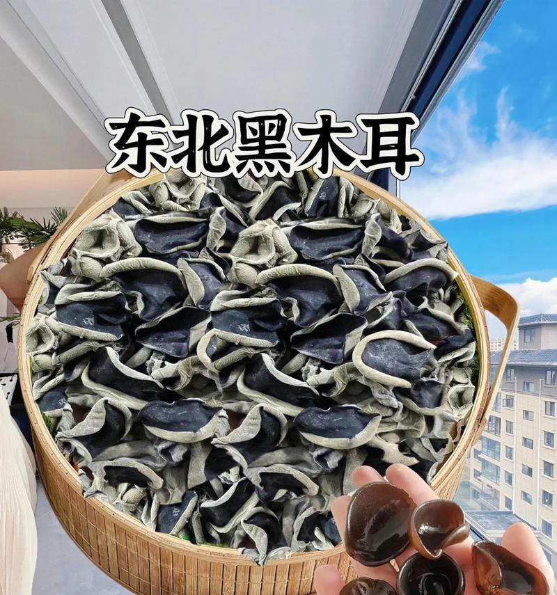 黑木耳减肥食谱有哪些？如何制作既健康又美味的黑木耳餐点？  第2张