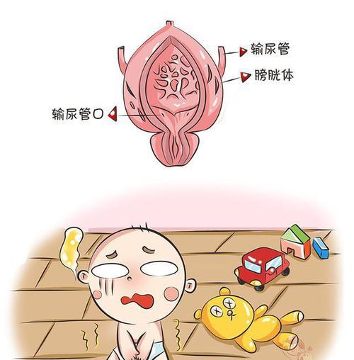 一招教你科学把尿？如何有效训练宝宝自主排尿？  第2张