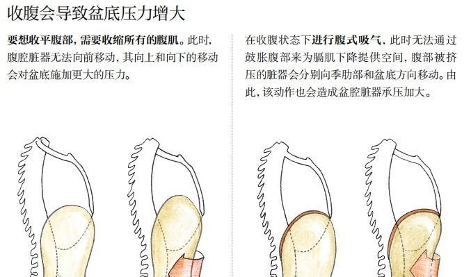 如何避免锻炼腹肌时的常见误区？  第2张
