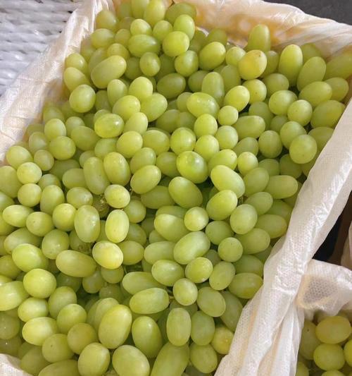 哪些水果既能满足味蕾又能有效降火？  第1张