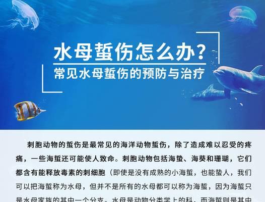 被蜜蜂蛰伤了怎么办？急救秘籍告诉你正确处理方法  第3张