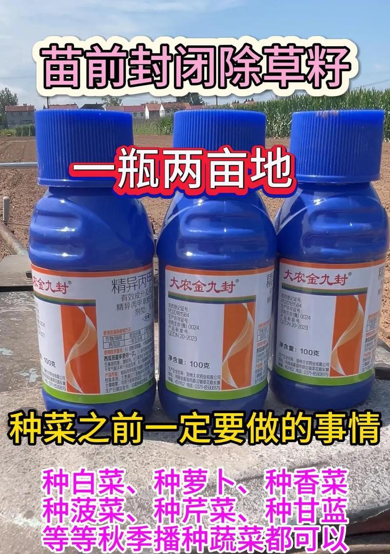 秋季蔬菜种植建议是什么？如何提高秋季蔬菜的产量和质量？  第3张