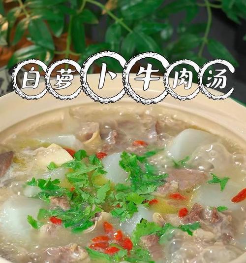 炖牛肉软烂入味的技巧是什么？如何确保炖出的牛肉既软烂又入味？  第3张