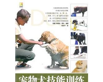 宠物狗训练技巧大全：如何训练狗狗听话？常见问题有哪些？  第2张