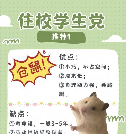 新手养小仓鼠需要注意什么？如何正确照顾小仓鼠？  第3张
