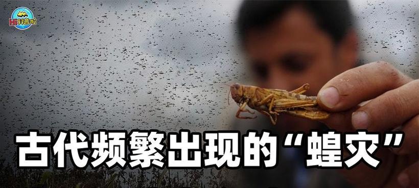 古人不吃蝗虫的原因是什么？蝗虫在古代为何不被食用？  第2张