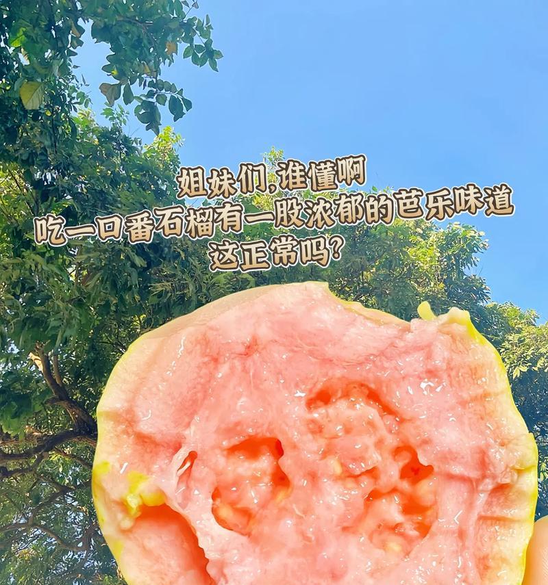 番石榴怎么吃最健康？有哪些吃法推荐？  第1张