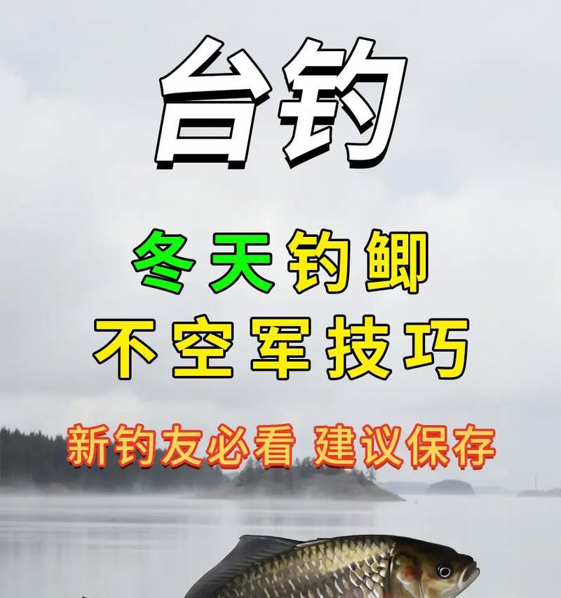 如何调漂才能钓到更多鲫鱼？详解钓鲫鱼线组的最佳方法是什么？  第2张