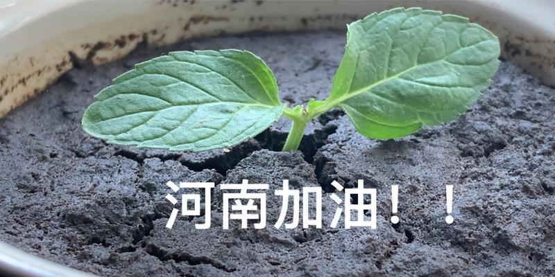 同舟共济电脑配置如何？  第2张
