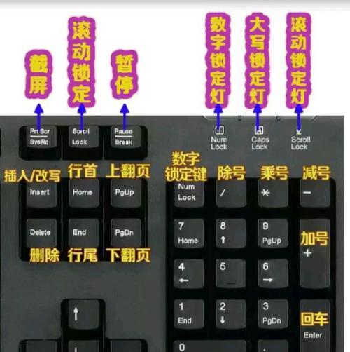 笔记本电脑输入数字的方法是什么？  第2张