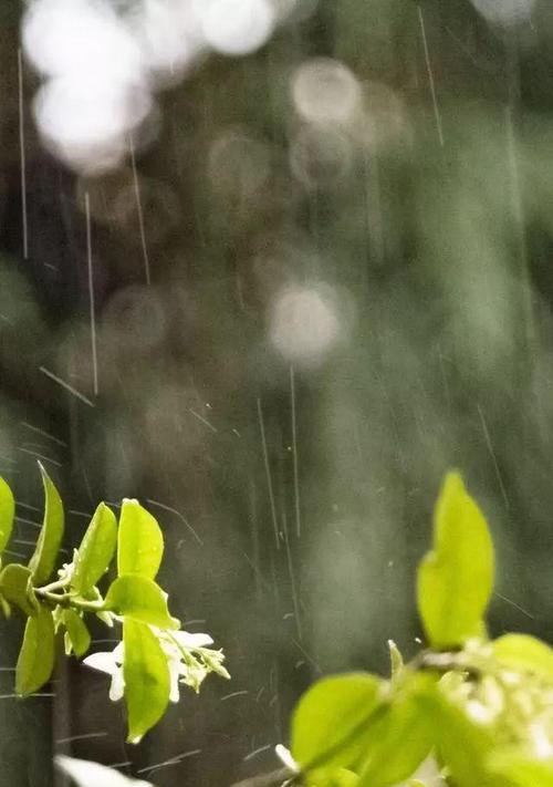 雨天手机拍照光圈怎么设置？如何拍出清晰照片？  第3张