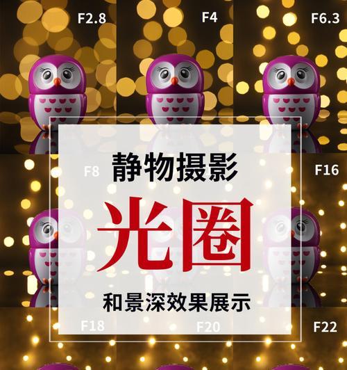 手机拍照如何调整静物虚化效果？  第1张