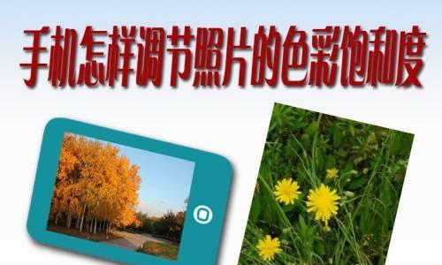 荣耀手机拍照过饱和如何调整？  第2张