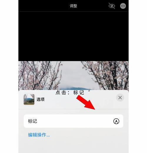 苹果手机如何添加照片水印？  第2张