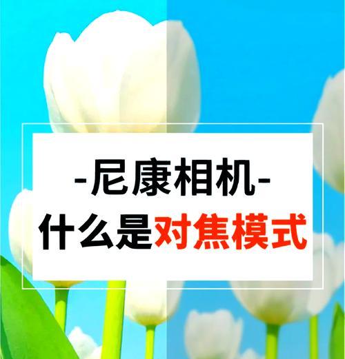 手机拍照变模糊的原因及解决方法是什么？  第1张