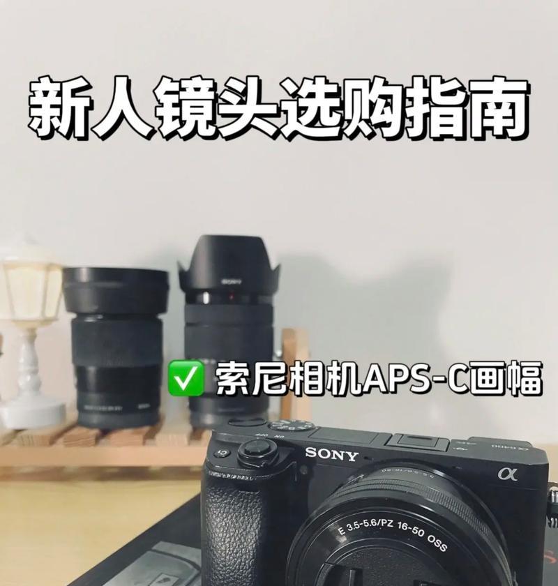 索尼相机什么镜头适合一镜走天下？选择镜头时应考虑哪些因素？  第3张