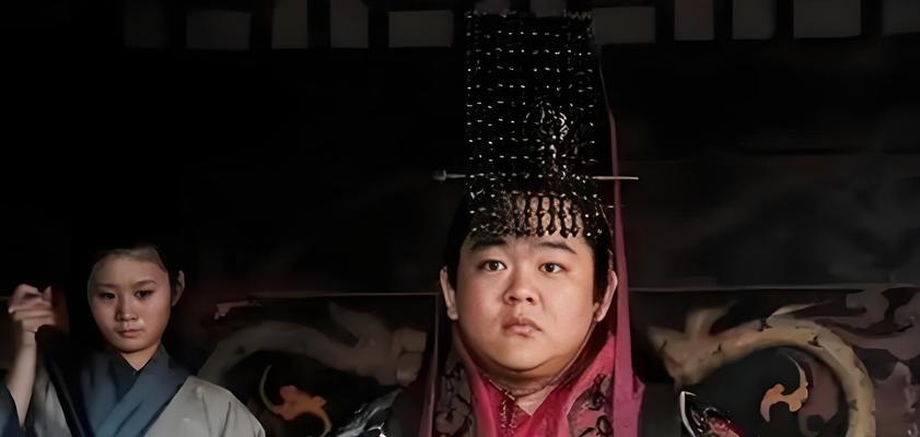 刘禅为什么被称为服务器的阿斗？历史背景是什么？  第2张