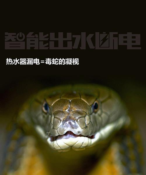 为什么用热水器的水养鱼？对鱼有哪些影响？  第3张