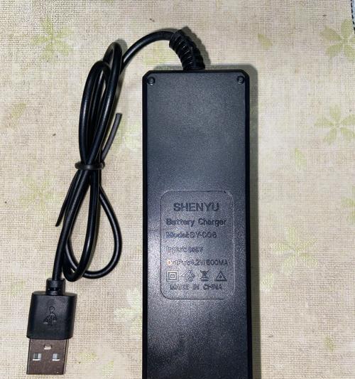 电瓶特快充电器瓦数选择标准是什么？如何选择合适的充电器？  第1张