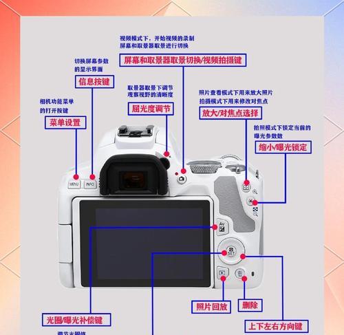佳能相机取景窗设置步骤？设置错误如何调整？  第3张