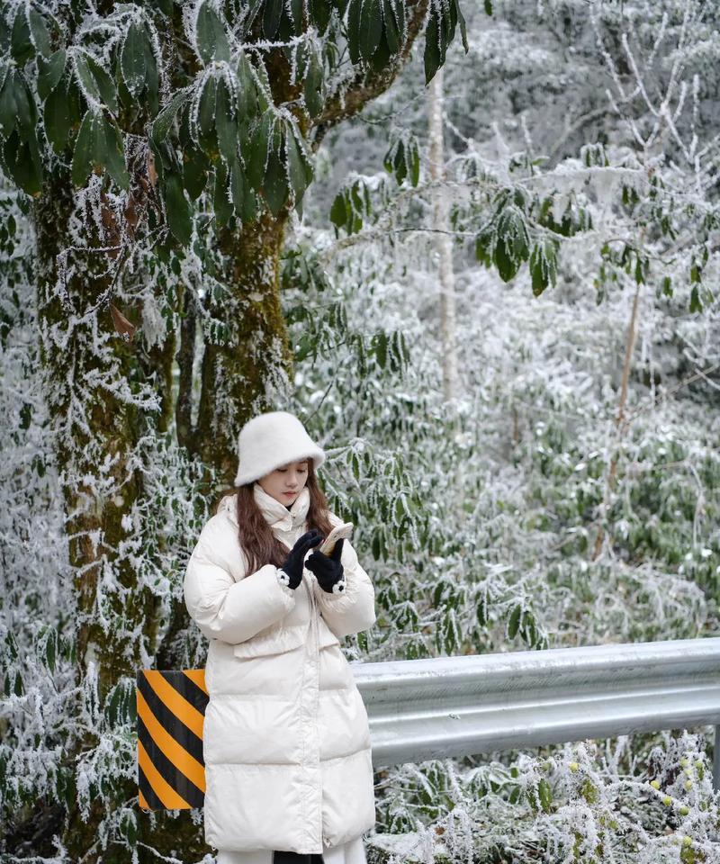 小米手机如何拍摄雪景？有哪些技巧？  第2张