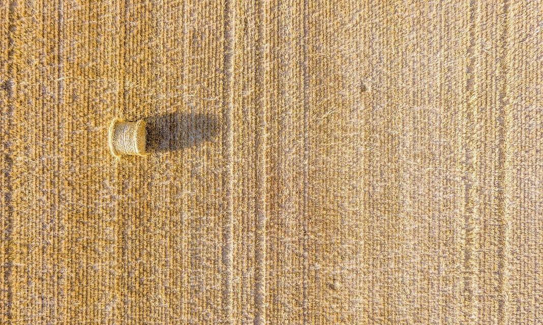 俯瞰跳入草堆时键盘应该按哪个键？  第2张