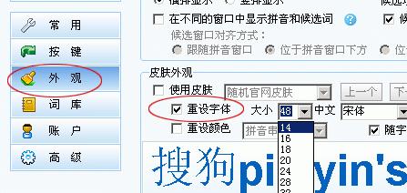 如何自制搜狗电脑鼠标皮肤？  第1张