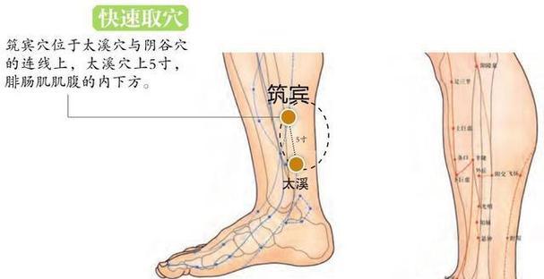 散热器贴在腿上会产生什么效果？使用中应注意什么？  第3张